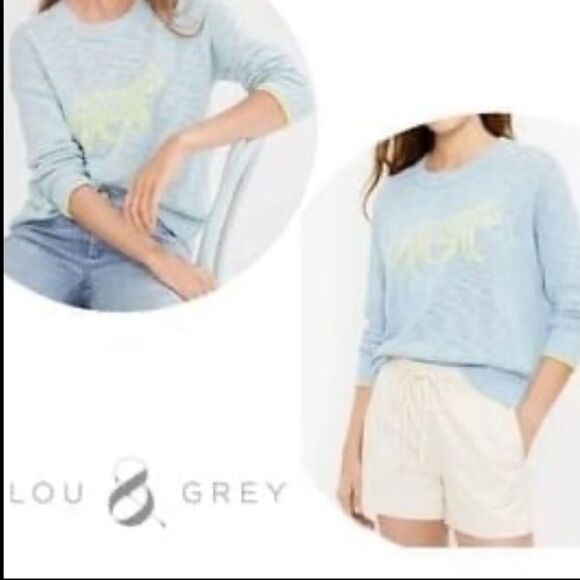Lou and Grey Womens Light Blue Cheetah Knit Long Sleeve Pullover Sweater Medium. - Picture 1 of 5